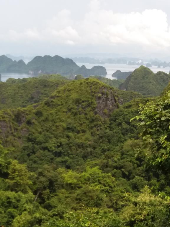 Duc Tuan Hotel Hai Phong Bagian luar foto